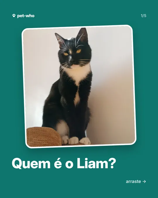 Carrossel 1: Quem é o Liam?