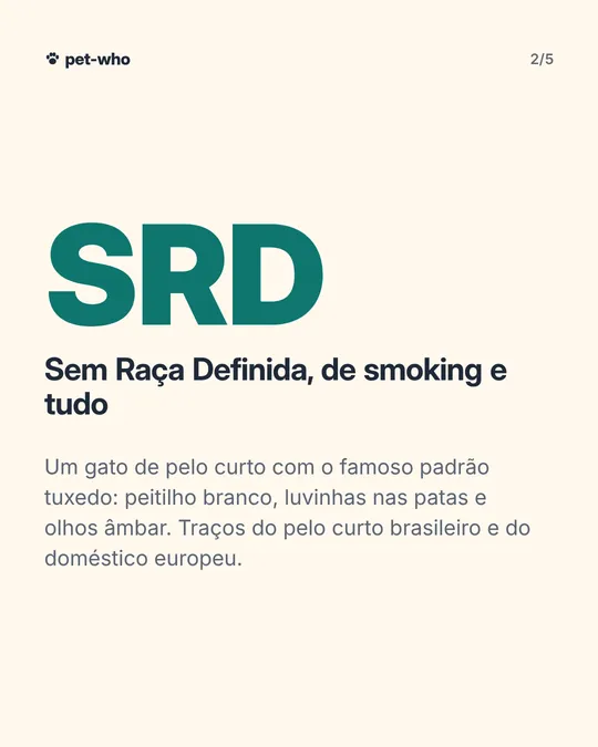 Carrossel 2: o veredito SRD
