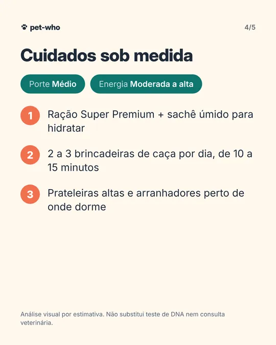 Carrossel 4: cuidados sob medida