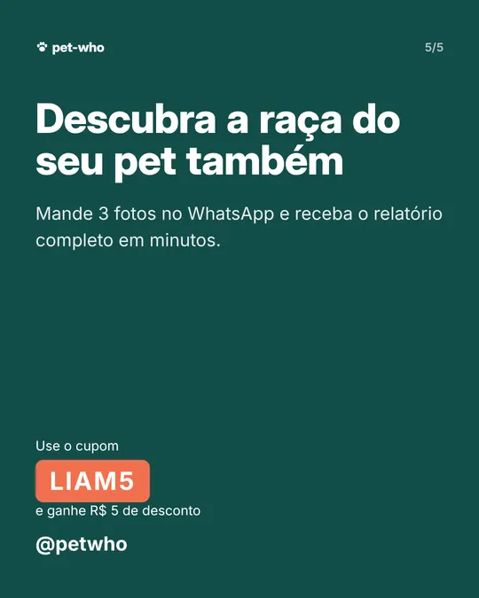Carrossel 5: cupom do Liam