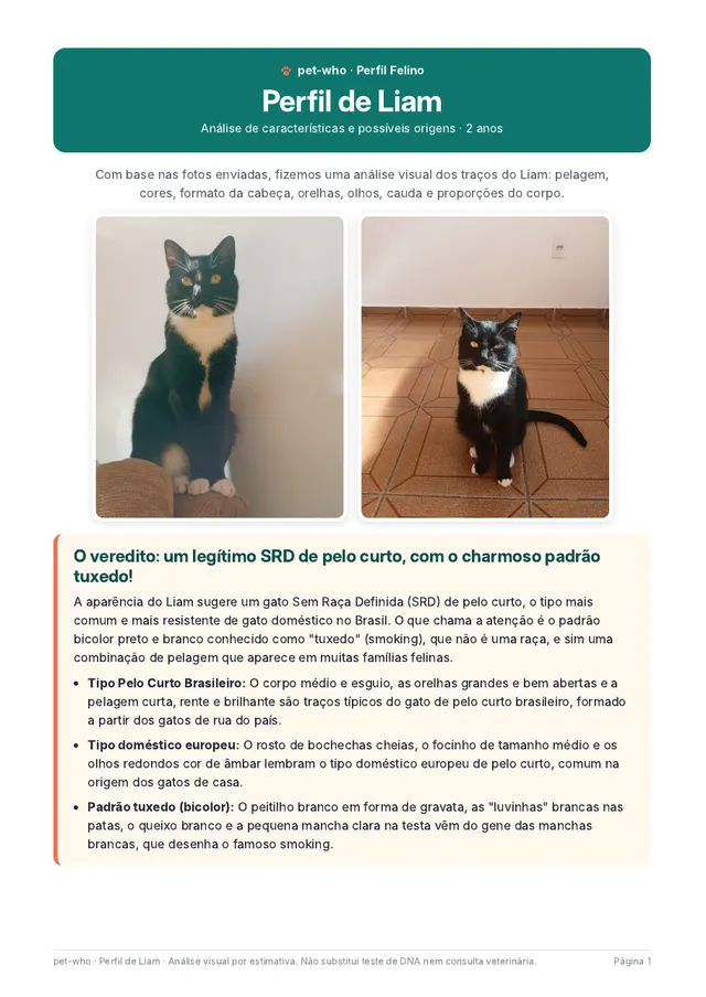 Página 1 do relatório: perfil e veredito